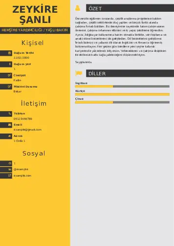 Hasta ve Yaşlı Bakım Elemanı Cv Örnekleri cv indir
